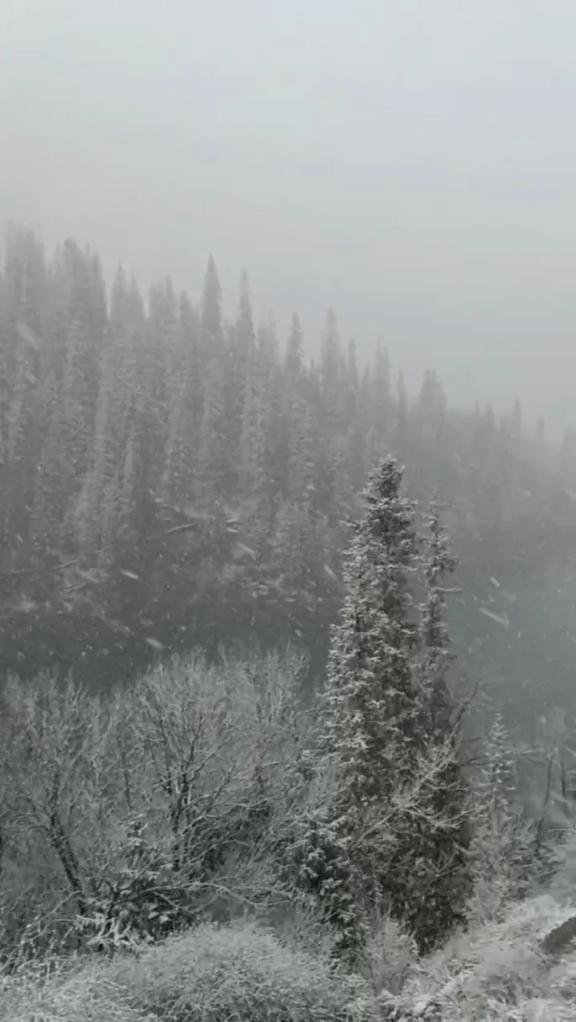 Озеро Кольсай зимой снегопад