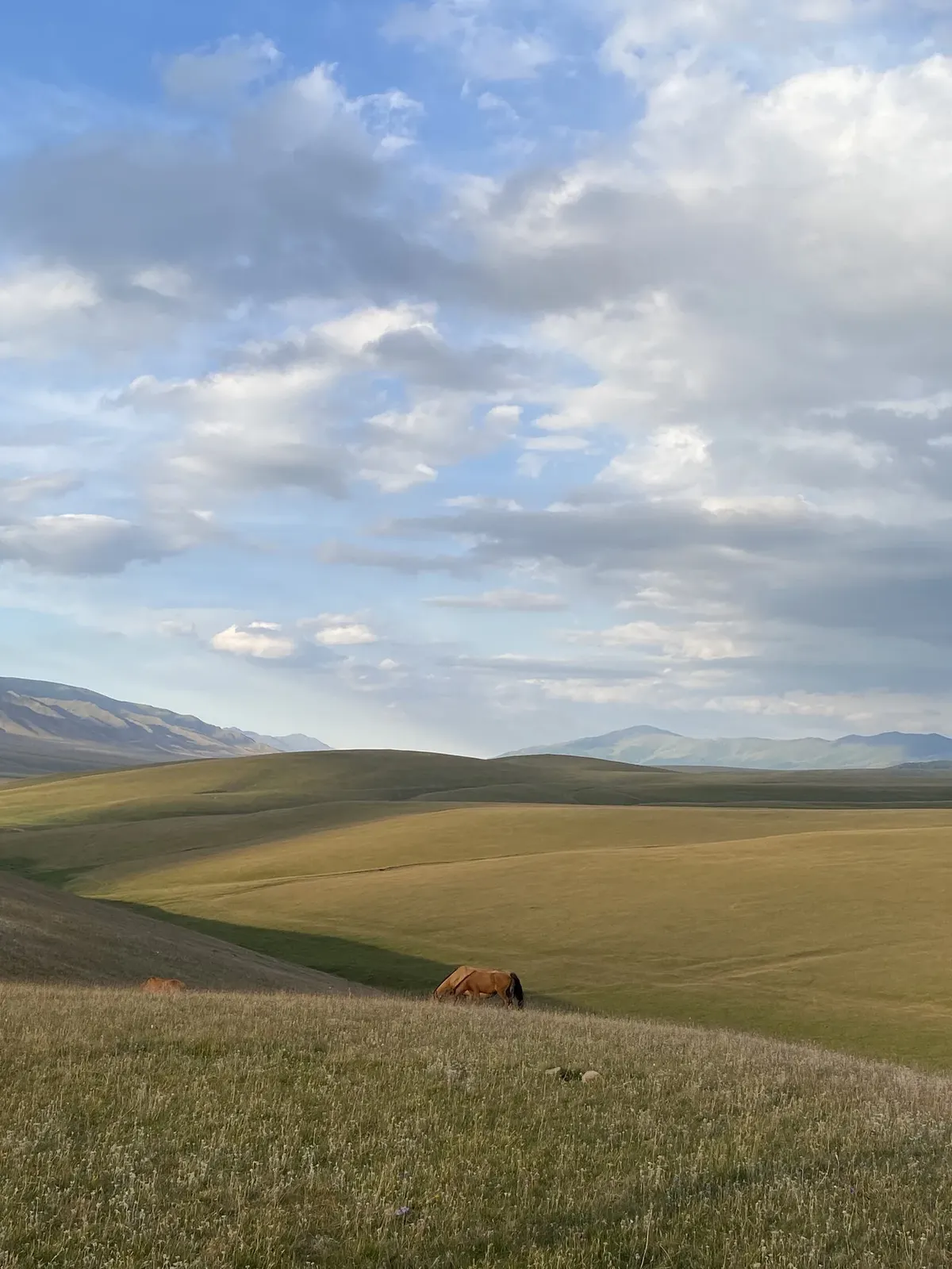 Плато Ассы сверху