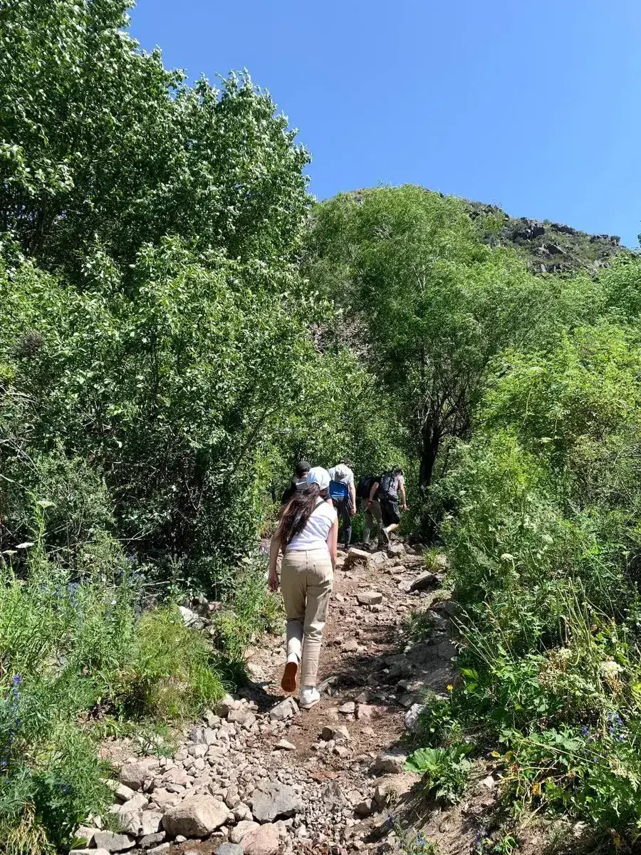 тропа к медвежьему водопаду