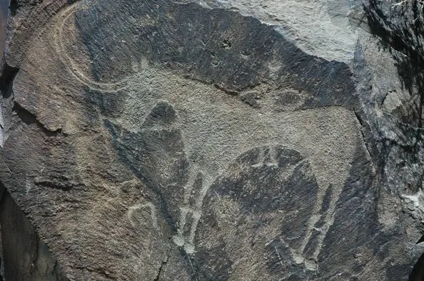 Скалы Тамгалы-Тас, вид с реки Или