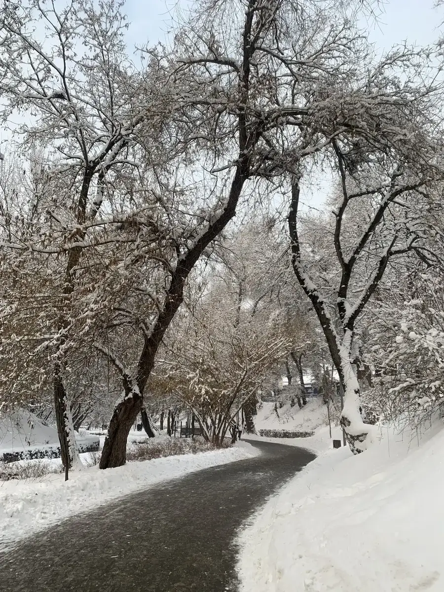Terrenkur trail in winter
