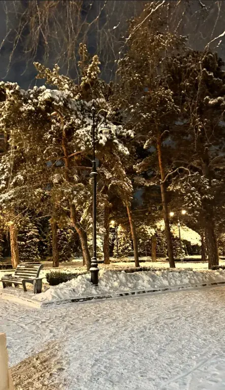 Panfilov Park in winter