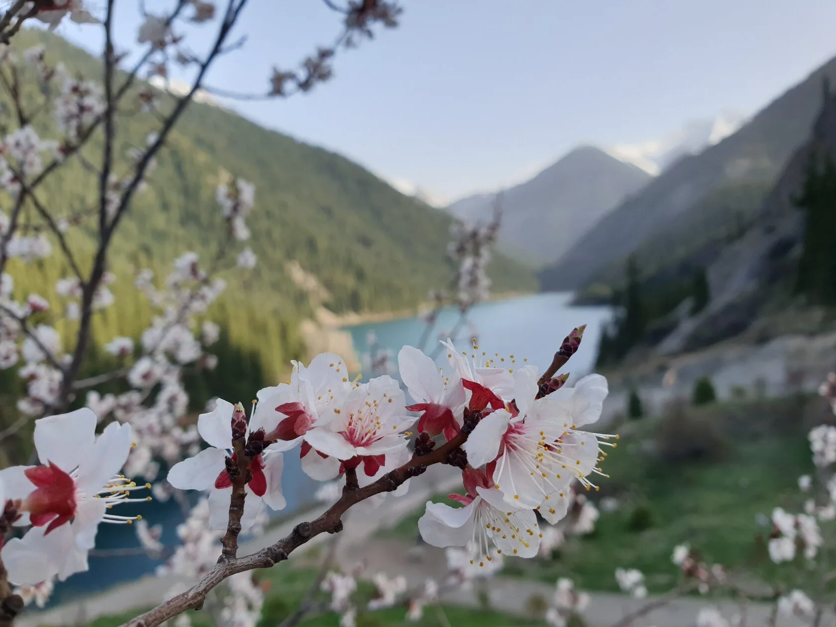 Озёра Кольсай: сезонность, туры, треккинг, жильё